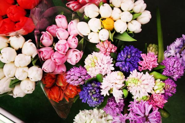 Flowers Titan