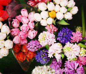 Flowers Titan
