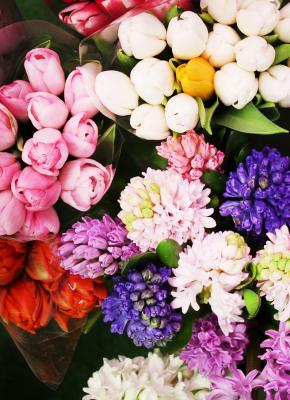 Flowers Titan