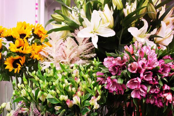 Flowers Titan