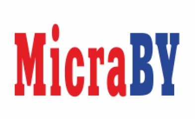 Микронаушники Micra.by