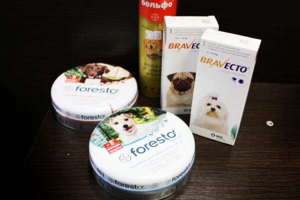 ZOOMARKET